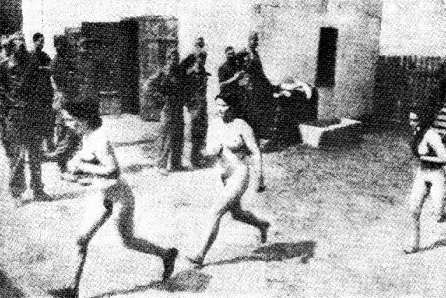 Фото голых евреек в концлагере.